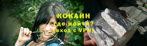 дживик Гусев