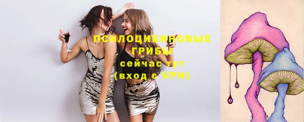 дживик Вязьма