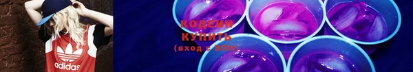 дживик Вязьма