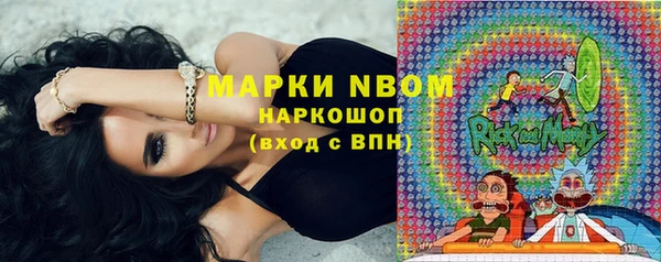 дживик Вязьма