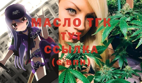 дживик Вязьма