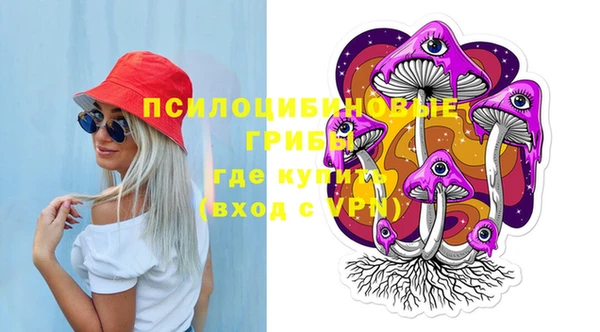 дживик Вязьма